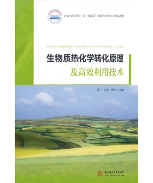 書封 生物质热化学转化原理及高效利用技术